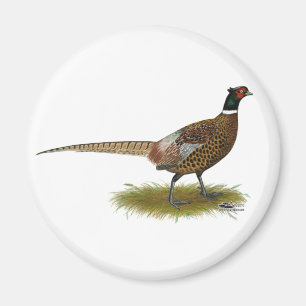 Pheasant Rooster Magnet