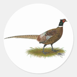 Pheasant Rooster Runder Aufkleber