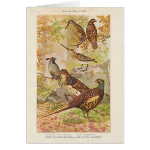 Pheasant und Game Jeden Anlaß Blank Gruß