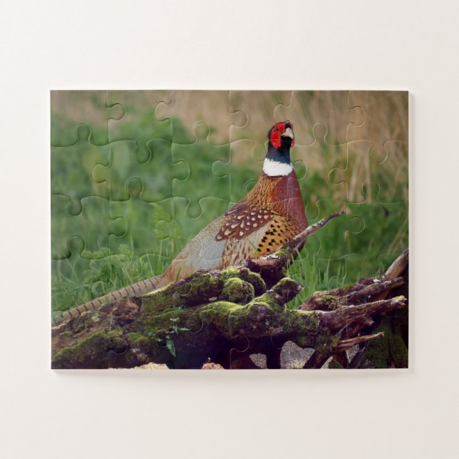 Pheasant von gefallenen Bäumen Wildtiere Oversifiz Puzzle (Horizontal)