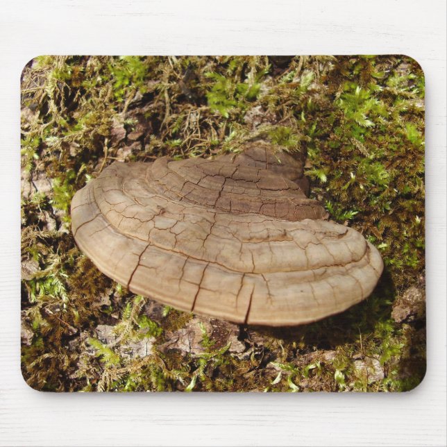 Phellinus igniarius Mushroom Mouse Mat Mousepad (Vorne)