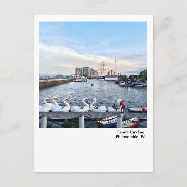 Philadelphia Postcard-Penn's Landing Swan Boats Postkarte (Vorderseite)