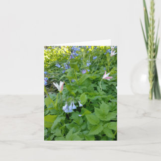 Philippians 4:4 Blank Card Karte