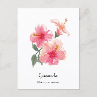 Philippine Gumamela Hibiskus Watercolor Poster Feiertagspostkarte