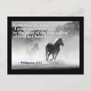 Philippinen 3:14 Ich drücke auf das Ziel, Pferde Postkarte