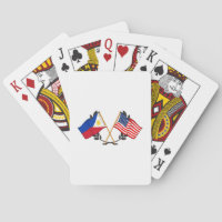 Philippinisch-amerikanische Flagge Filipino-Erbe V