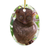 Philippinische Tarsier Verzierung