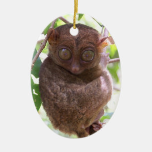 Philippinische Tarsier Verzierung Keramikornament