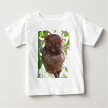 Philippinisches Tarsier