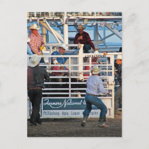 Phillipsburg, Kansas Rodeo 2007 Postkarte