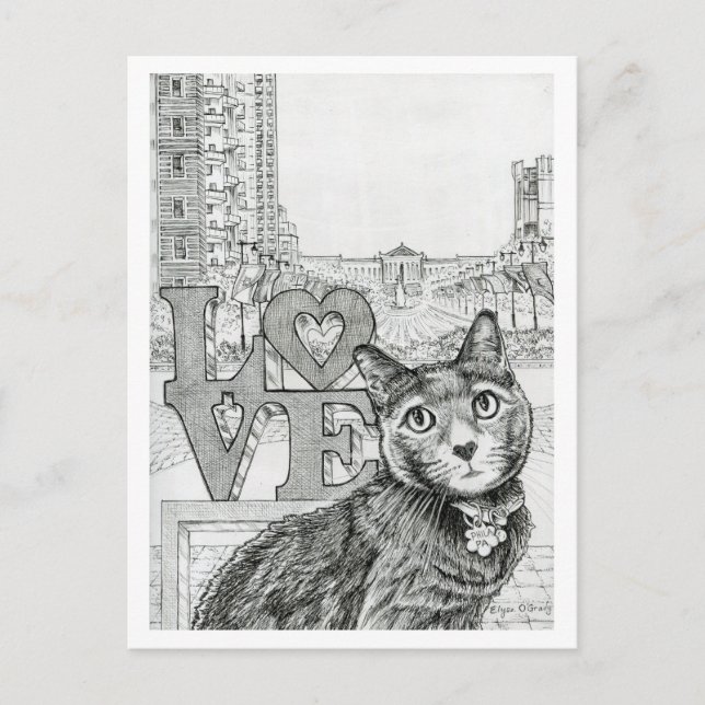 Philly Cat bei Ben Franklin Parkway Postkarte (Vorderseite)