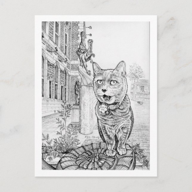 Philly Cat near Academy of Natural Sciences  Postkarte (Vorderseite)