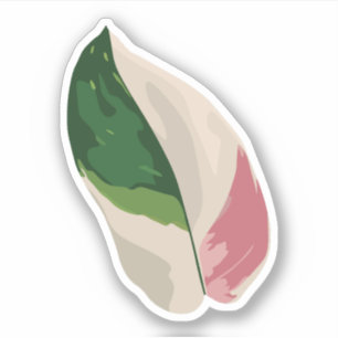 Philodendron Pink Princess Aufkleber