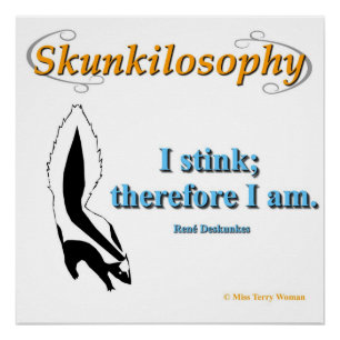 Philosophie: Ich stinke Poster
