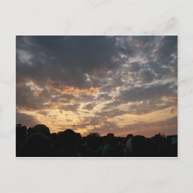 Phish Ball Postkarte (Vorderseite)