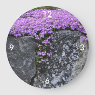 Phlox an der Felsenhalterung Große Wanduhr