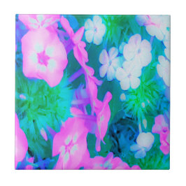 Phlox-Blume in Rosa, Grün, Blau und Weiß. Fliese