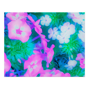 Phlox-Blume in Rosa, Grün, Blau und Weiß. Poster