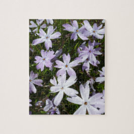 Phlox-Blume Puzzle