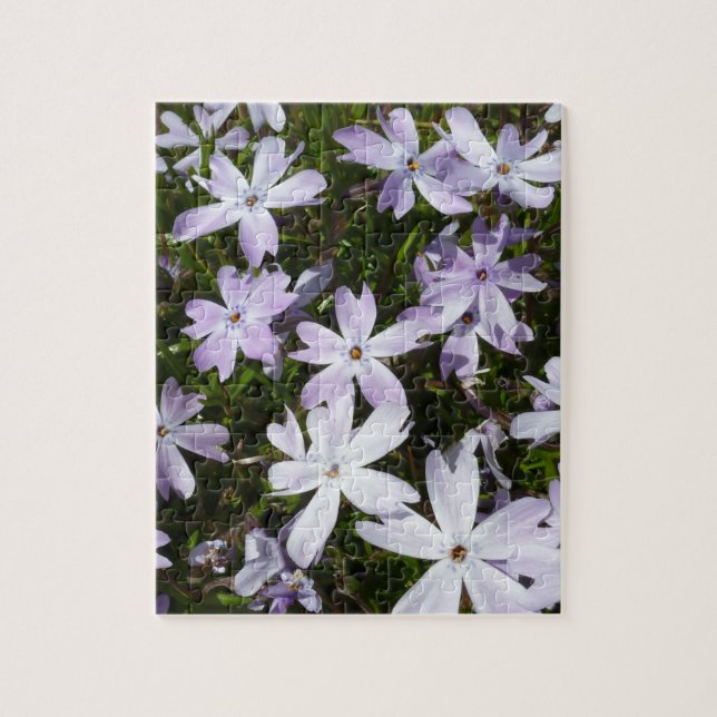 Phlox-Blume Puzzle (Vertikal)