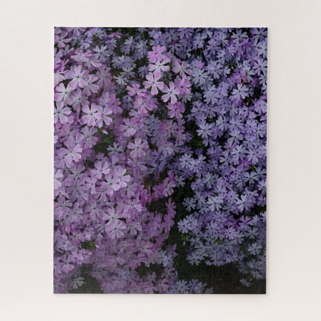 Phlox im Überfluss Puzzle (Vertikal)