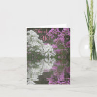Phlox Reflections Danke Karte