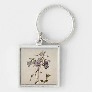 Phlox reptans schlüsselanhänger