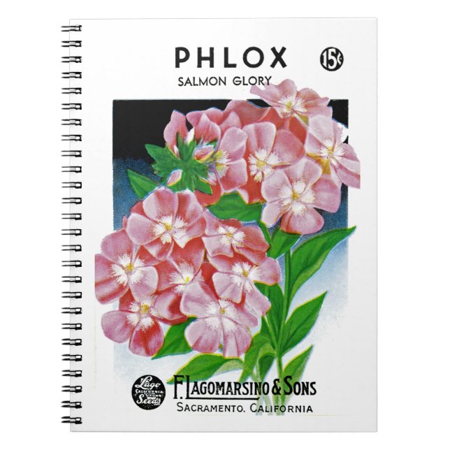 Phlox-Samenpackungsetikett Notizblock (Vorderseite)