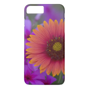 Phlox und Indian Blanket bei Devine Texas Case-Mate iPhone Hülle