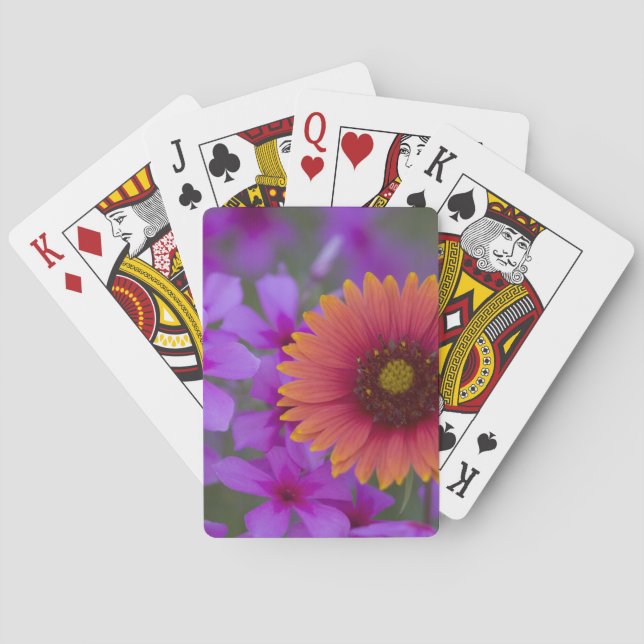 Phlox und Indianerblanket bei Devine Texas Spielkarten (Rückseite)