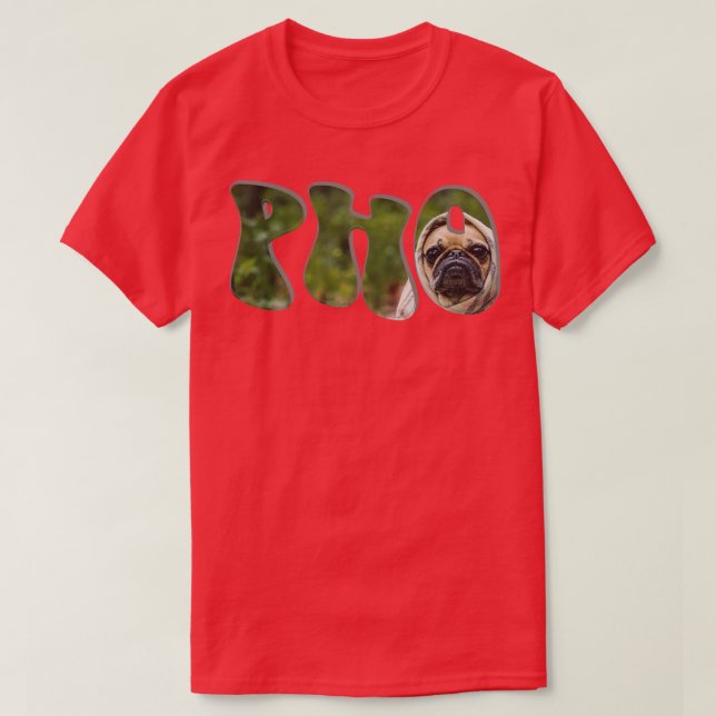 PHO T-Shirt (Design vorne)