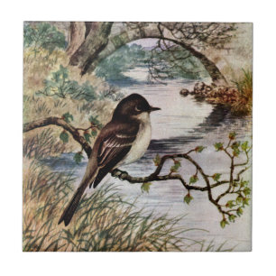 Phoebe und Steinbrücke über Nebenfluss Fliese