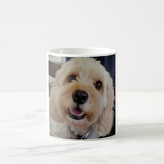 PhoebethePrincess Cavapoo auf einer klassischen Tasse