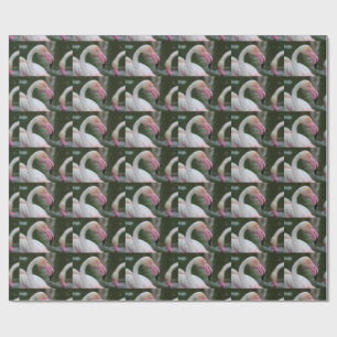 Phoenicopterus roseus geschenkpapier