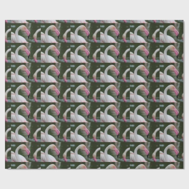 Phoenicopterus roseus geschenkpapier (Flach)