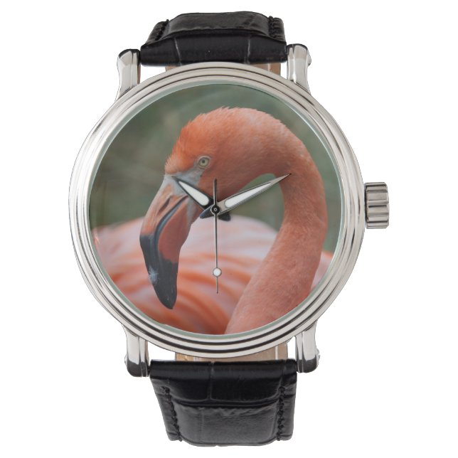 Phoenicopterus ruber armbanduhr (Vorderseite)