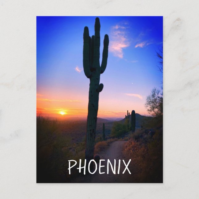 Phoenix Arizona Saguaro Cactus Sunset Souvenir Postkarte (Vorderseite)