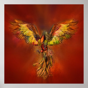 Phoenix Aufstieg - roter Himmel Poster