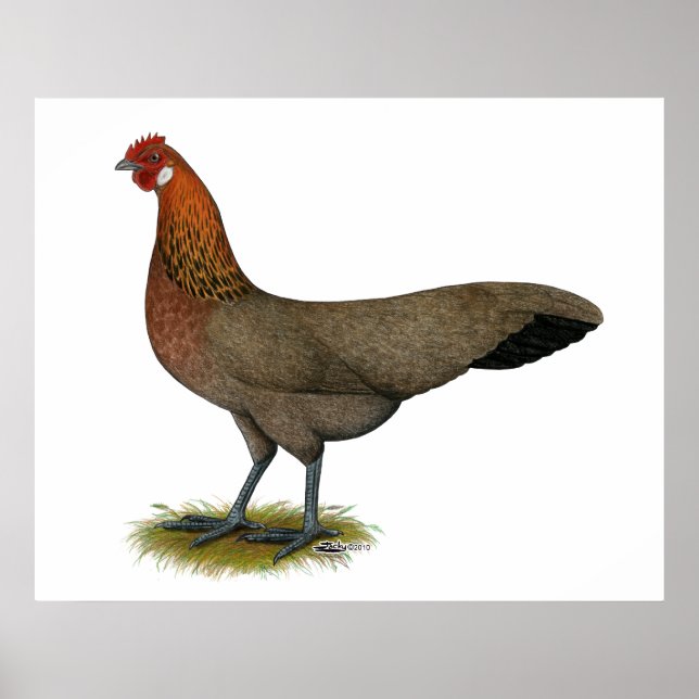 Phoenix: BB Red Hen Poster (Vorne)