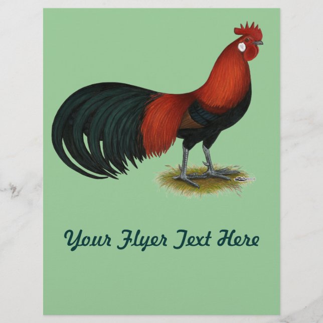 Phoenix: BB Red Rooster Flyer (Vorne)