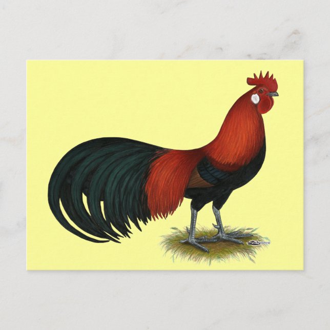 Phoenix:  BB Red Rooster Postkarte (Vorderseite)