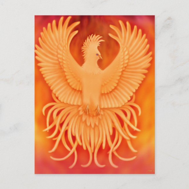 Phoenix Bird Postcard Postkarte (Vorderseite)