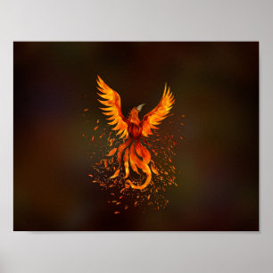Phoenix Bird Poster