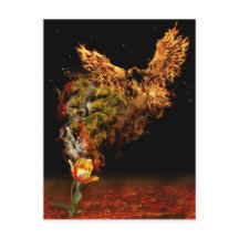 Phoenix-Blume