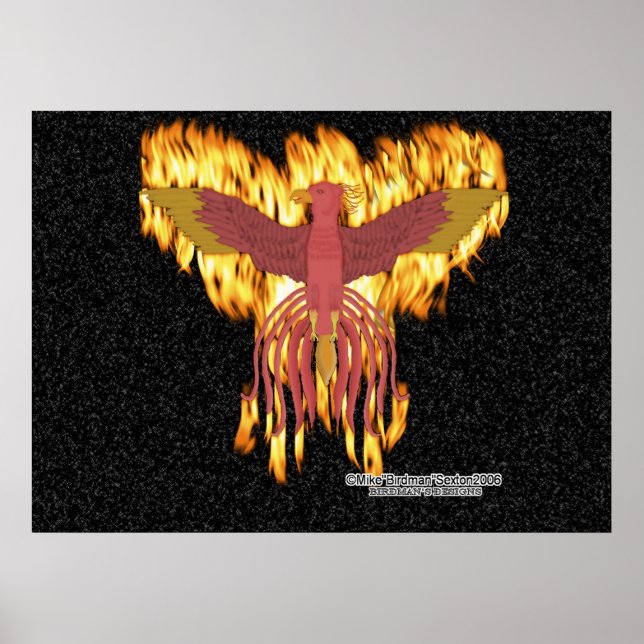Phoenix Fire Poster (Vorne)