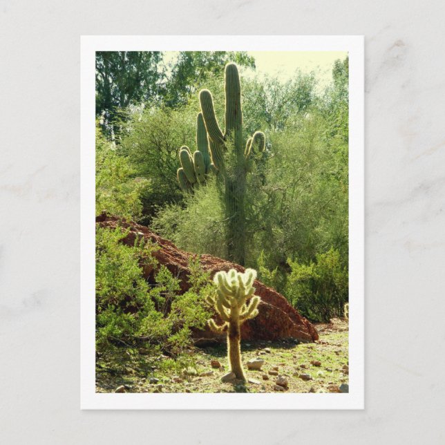 Phoenix Flora Postkarte (Vorderseite)
