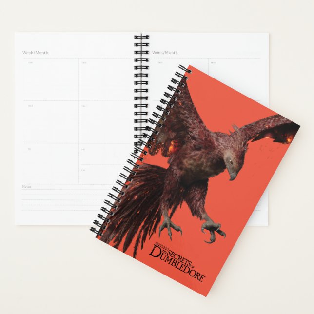Phoenix Flying Graphic Planer (Anzeige)