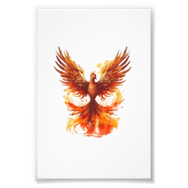 Phoenix Fotodruck (Vorne)