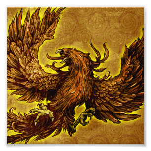 Phoenix Fotodruck