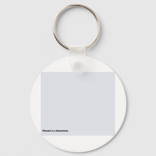 Phoenix in einem Schneesturm Schlüsselanhänger